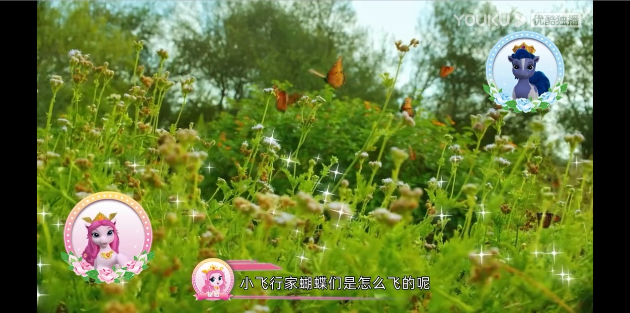 图片7.png