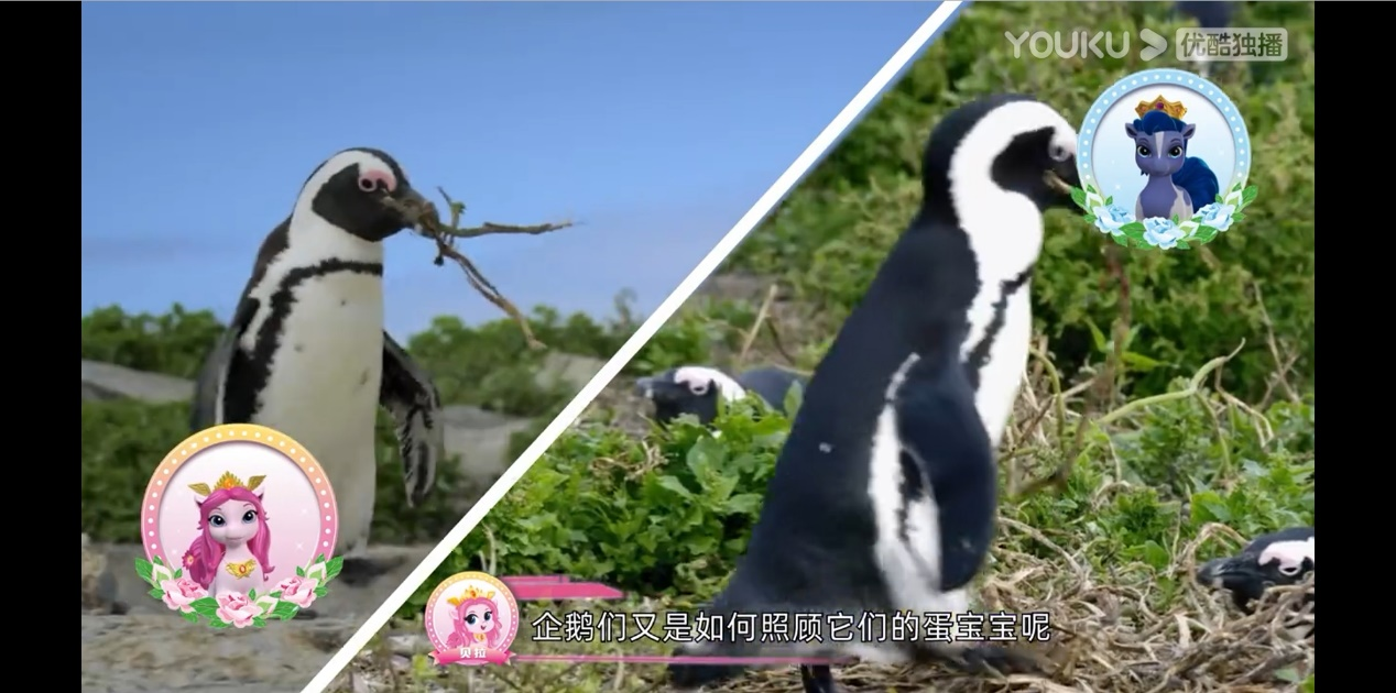 图片9.png
