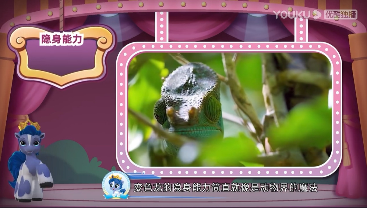 图片10.png